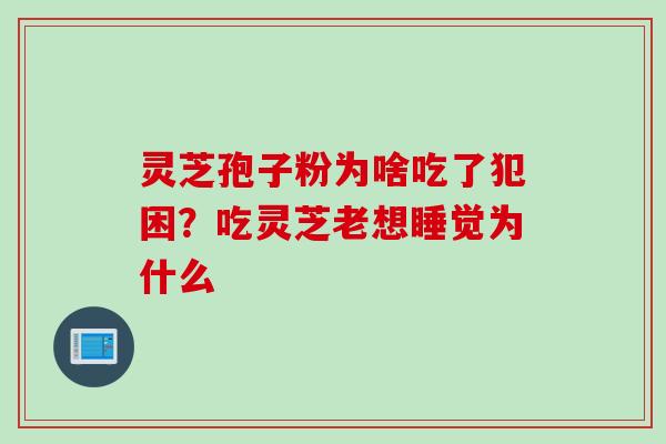 灵芝孢子粉为啥吃了犯困？吃灵芝老想睡觉为什么