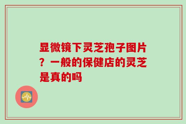 显微镜下灵芝孢子图片？一般的保健店的灵芝是真的吗