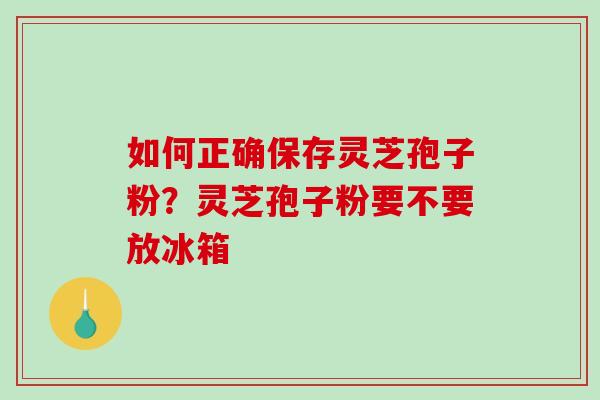 如何正确保存灵芝孢子粉？灵芝孢子粉要不要放冰箱