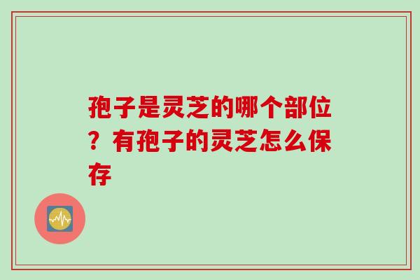孢子是灵芝的哪个部位？有孢子的灵芝怎么保存