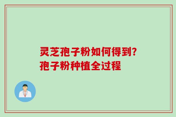 灵芝孢子粉如何得到？孢子粉种植全过程