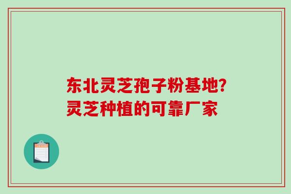 东北灵芝孢子粉基地？灵芝种植的可靠厂家