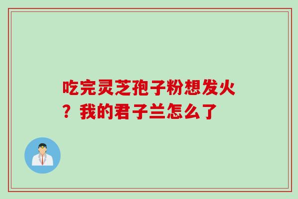 吃完灵芝孢子粉想发火？我的君子兰怎么了