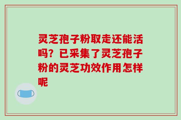 灵芝孢子粉取走还能活吗？已采集了灵芝孢子粉的灵芝功效作用怎样呢