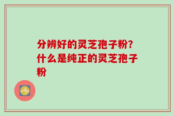 分辨好的灵芝孢子粉？什么是纯正的灵芝孢子粉