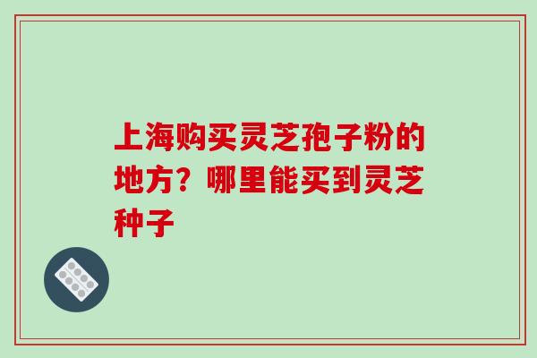 上海购买灵芝孢子粉的地方？哪里能买到灵芝种子