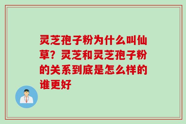灵芝孢子粉为什么叫仙草？灵芝和灵芝孢子粉的关系到底是怎么样的谁更好
