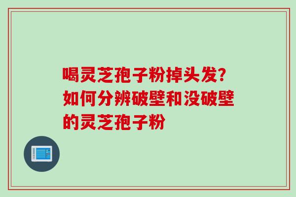 喝灵芝孢子粉掉头发？如何分辨破壁和没破壁的灵芝孢子粉