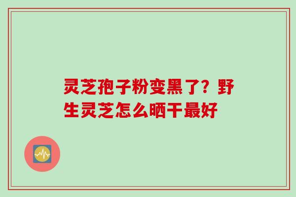灵芝孢子粉变黑了？野生灵芝怎么晒干最好