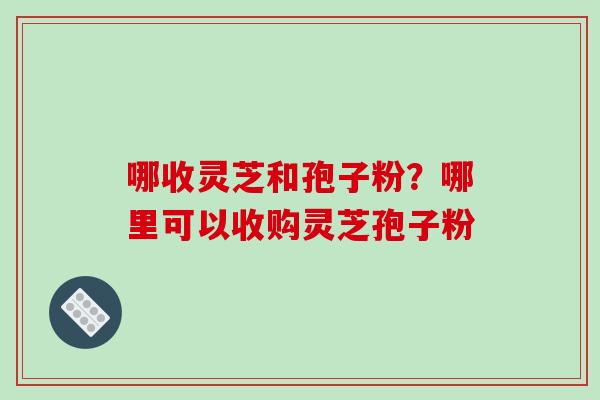 哪收灵芝和孢子粉？哪里可以收购灵芝孢子粉