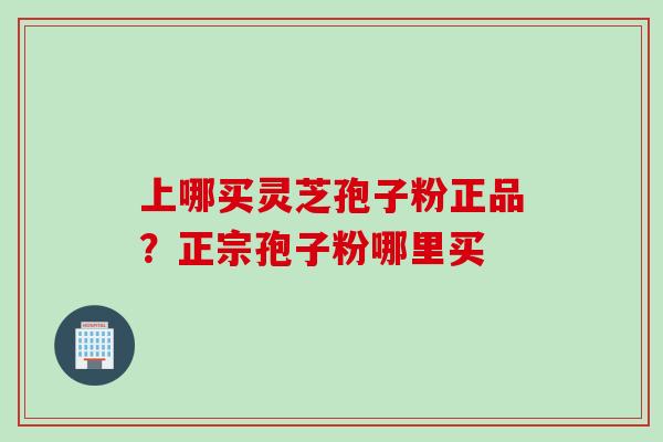 上哪买灵芝孢子粉正品？正宗孢子粉哪里买