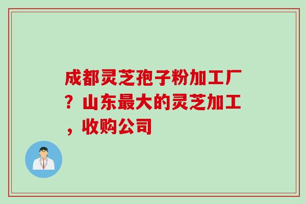 成都灵芝孢子粉加工厂？山东最大的灵芝加工，收购公司