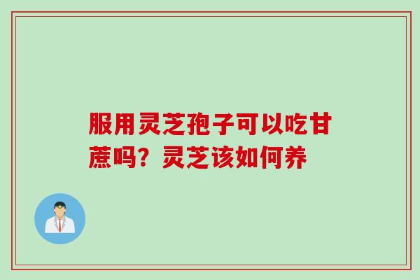 服用灵芝孢子可以吃甘蔗吗？灵芝该如何养