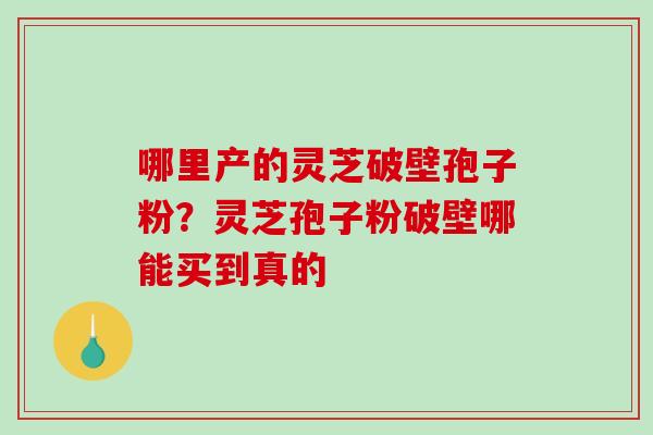 哪里产的灵芝破壁孢子粉？灵芝孢子粉破壁哪能买到真的