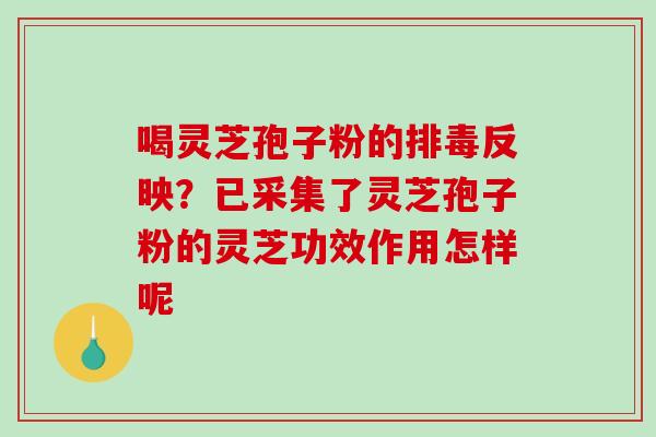 喝灵芝孢子粉的排毒反映？已采集了灵芝孢子粉的灵芝功效作用怎样呢
