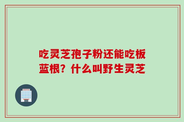 吃灵芝孢子粉还能吃板蓝根？什么叫野生灵芝