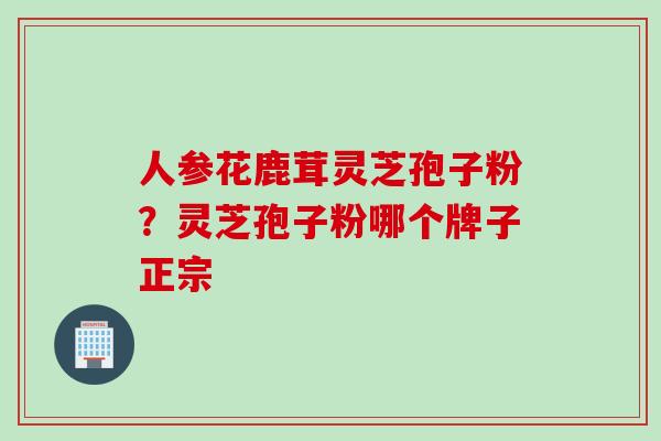人参花鹿茸灵芝孢子粉？灵芝孢子粉哪个牌子正宗