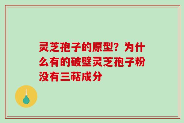 灵芝孢子的原型？为什么有的破壁灵芝孢子粉没有三萜成分