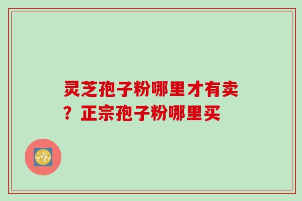 灵芝孢子粉哪里才有卖？正宗孢子粉哪里买