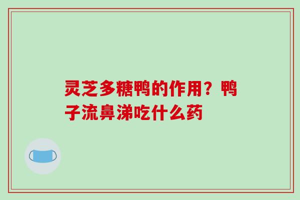 灵芝多糖鸭的作用？鸭子流鼻涕吃什么药