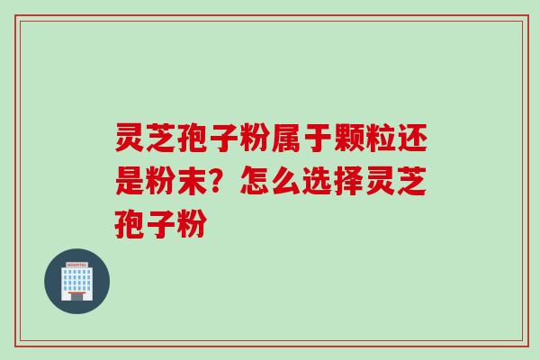 灵芝孢子粉属于颗粒还是粉末？怎么选择灵芝孢子粉