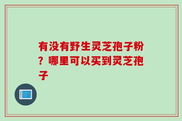 有没有野生灵芝孢子粉？哪里可以买到灵芝孢子