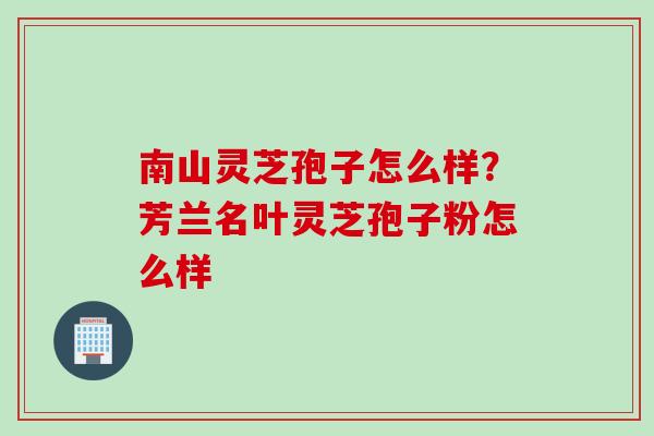 南山灵芝孢子怎么样？芳兰名叶灵芝孢子粉怎么样