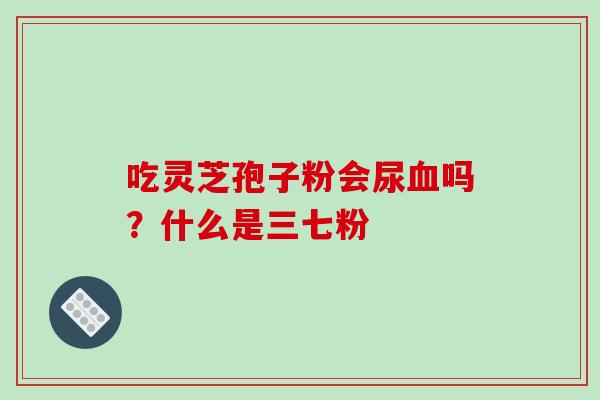 吃灵芝孢子粉会尿血吗？什么是三七粉