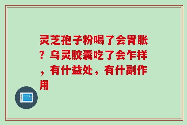 灵芝孢子粉喝了会胃胀？乌灵胶囊吃了会乍样，有什益处，有什副作用
