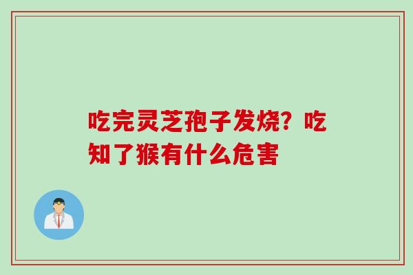 吃完灵芝孢子发烧？吃知了猴有什么危害