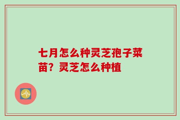 七月怎么种灵芝孢子菜苗？灵芝怎么种植