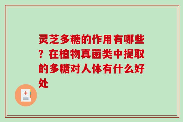 灵芝多糖的作用有哪些？在植物真菌类中提取的多糖对人体有什么好处