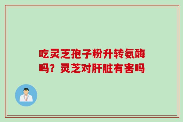 吃灵芝孢子粉升转氨酶吗？灵芝对肝脏有害吗