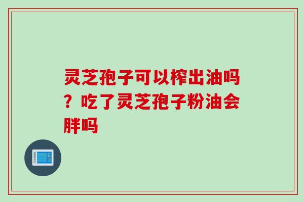 灵芝孢子可以榨出油吗？吃了灵芝孢子粉油会胖吗