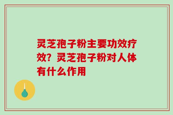 灵芝孢子粉主要功效疗效？灵芝孢子粉对人体有什么作用