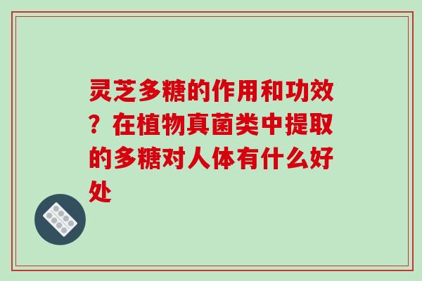 灵芝多糖的作用和功效？在植物真菌类中提取的多糖对人体有什么好处