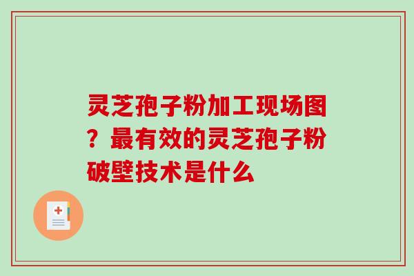 灵芝孢子粉加工现场图？最有效的灵芝孢子粉破壁技术是什么