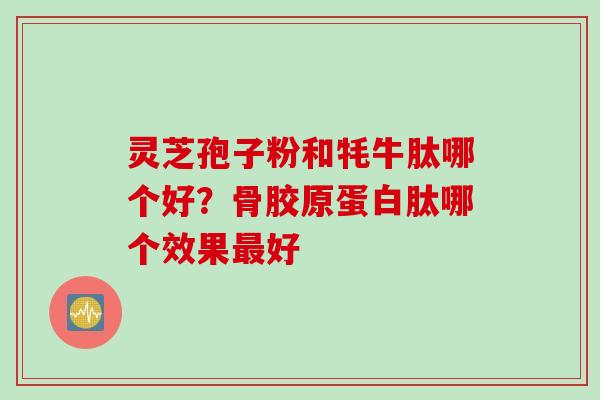灵芝孢子粉和牦牛肽哪个好？骨胶原蛋白肽哪个效果好