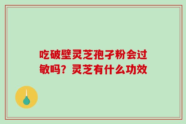 吃破壁灵芝孢孑粉会过敏吗？灵芝有什么功效