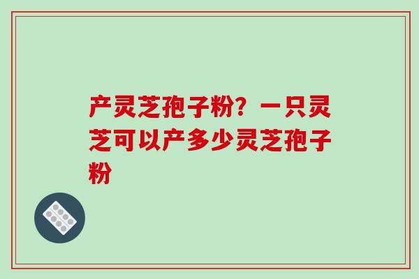 产灵芝孢子粉？一只灵芝可以产多少灵芝孢子粉