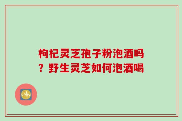 枸杞灵芝孢子粉泡酒吗？野生灵芝如何泡酒喝