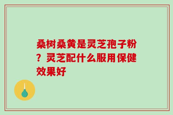 桑树桑黄是灵芝孢子粉？灵芝配什么服用保健效果好