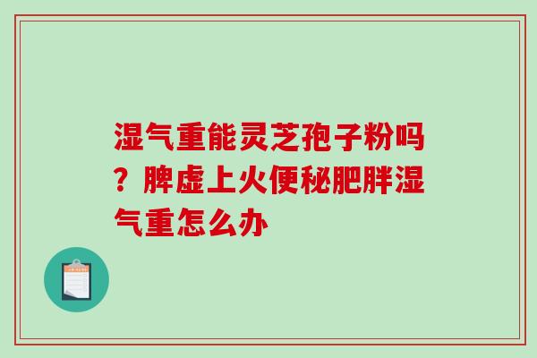 湿气重能灵芝孢子粉吗？脾虚上火便秘肥胖湿气重怎么办