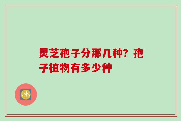 灵芝孢子分那几种？孢子植物有多少种