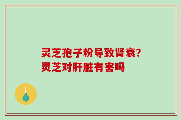 灵芝孢子粉导致肾衰？灵芝对肝脏有害吗