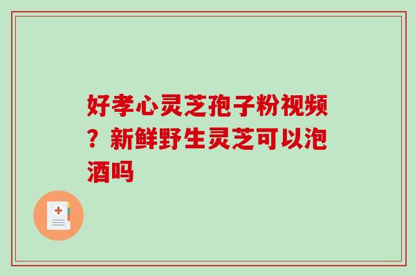 好孝心灵芝孢子粉视频？新鲜野生灵芝可以泡酒吗