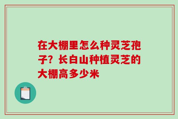 在大棚里怎么种灵芝孢子？长白山种植灵芝的大棚高多少米