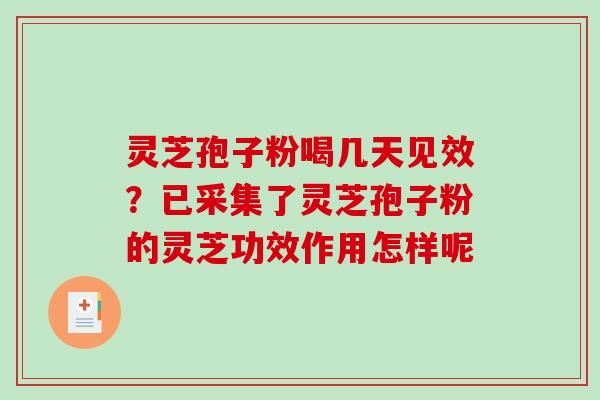 灵芝孢子粉喝几天见效？已采集了灵芝孢子粉的灵芝功效作用怎样呢