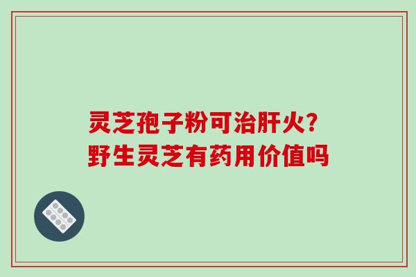 灵芝孢子粉可治肝火？野生灵芝有药用价值吗