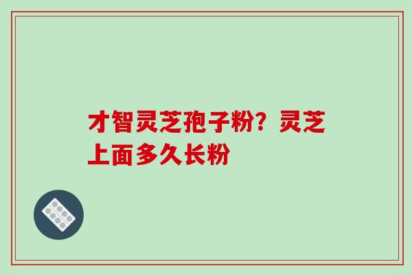 才智灵芝孢子粉？灵芝上面多久长粉